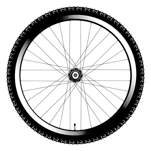 Bike Wheel
